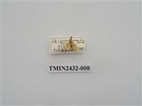 藏品(六點苔蛾)的圖片